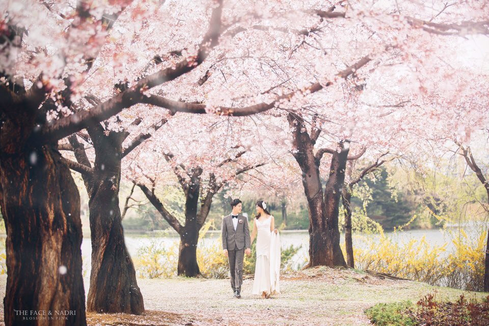 結婚記念日の写真を韓国で
